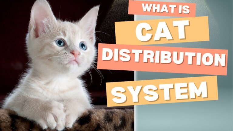 How the Mysterious “Cat Distribution System” Delivers Random Felines to New Homes—And Why You Might Be Next!